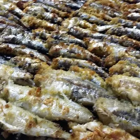 Hotel Mucciolini Castrocaro Terme